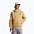 Bluza The North Face Mountain Celebration Relaxed Hoodie khaki stone 3