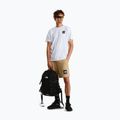 Spodenki trekkingowe męskie The North Face Box Nse Light Regular Shorts khaki stone 2