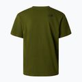 Koszulka męska The North Face Mountain Logo Relaxed woodland green 6