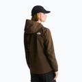 Kurtka softshell damska The North Face Quest Mono taupe green 3