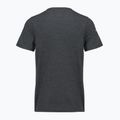 Koszulka męska Smartwool Lunar Bear Active SS Graphic Tee charcoal heather 2