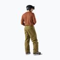 Bluza termoaktywna męska Smartwool Merino 250 Baselayer Crew Boxed burnt sienna 2
