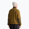 Bluza polarowa męska The North Face Yumiori Off Peak 1/2 Zip caraway seed/ne 3