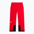 Spodnie narciarskie męskie The North Face Chakal elevation red 5