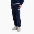 Spodnie męskie The North Face Evo Box Half Dome Regular Tappered summit navy 3