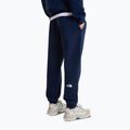 Spodnie męskie The North Face Evo Box Half Dome Regular Tappered summit navy 4