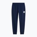 Spodnie męskie The North Face Evo Box Half Dome Regular Tappered summit navy 5