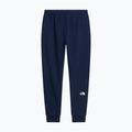 Spodnie męskie The North Face Evo Box Half Dome Regular Tappered summit navy 6