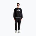 Spodnie męskie The North Face Evo Box Half Dome Regular Tappered tnf black 2