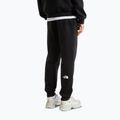 Spodnie męskie The North Face Evo Box Half Dome Regular Tappered tnf black 3