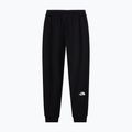 Spodnie męskie The North Face Evo Box Half Dome Regular Tappered tnf black 5