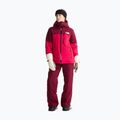 Kurtka narciarska damska The North Face Freedom Insulated lali guran/burg 2