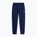 Spodnie męskie The North Face Evolution Simple Dome Regular Joggers summit navy 4