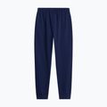 Spodnie męskie The North Face Evolution Simple Dome Regular Joggers summit navy 5