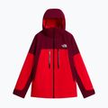 Kurtka narciarska męska The North Face Chakal elevation red/burgundy 5