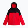 Kurtka narciarska męska The North Face Freedom Insulated elevation red/tnf black 5