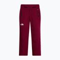 Spodnie narciarskie damskie The North Face Lenado burgundy crush