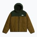 Kurtka ocieplana dziecięca The North Face Reversible Shasta FZ Hooded caraway seed/bo 6