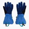 Rękawice narciarskie dziecięce The North Face Montana bold blue/active blue 2