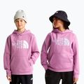 Bluza dziecięca The Noryh Face Essential Drew Peak Hoodie hushed lavender 3