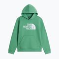 Bluza dziecięca The Noryh Face Essential Drew Peak Hoodie dimmed algae