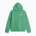Bluza dziecięca The Noryh Face Essential Drew Peak Hoodie dimmed algae 2