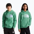 Bluza dziecięca The Noryh Face Essential Drew Peak Hoodie dimmed algae 3