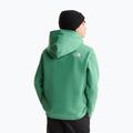 Bluza dziecięca The Noryh Face Essential Drew Peak Hoodie dimmed algae 5