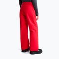 Spodnie narciarskie dziecięce The North Face Freedom Insulated elevation red 3