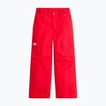 Spodnie narciarskie dziecięce The North Face Freedom Insulated elevation red 4