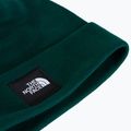 Czapka zimowa The North Face Dock Worker Recycled Beanie hunter green 2