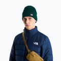 Czapka zimowa The North Face Dock Worker Recycled Beanie hunter green 3