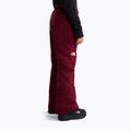 Spodnie narciarskie dziecięce The North Face Freedom Insulated burgundy crush 3