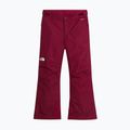 Spodnie narciarskie dziecięce The North Face Freedom Insulated burgundy crush 4