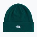 Czapka zimowa The North Face Norm Beanie hunter green
