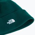 Czapka zimowa The North Face Norm Beanie hunter green 2