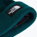 Czapka zimowa The North Face Salty Lined pacific teal 2