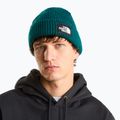Czapka zimowa The North Face Salty Lined pacific teal 3