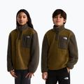 Bluza polarowa dziecięca The North Face Yumiori 1/4 Zip caraway seed/ne 3