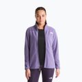 Bluza polarowa męska The North Face Glacier Fleece grounded plum 4
