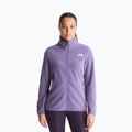 Bluza polarowa męska The North Face Glacier Fleece grounded plum