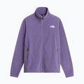 Bluza polarowa męska The North Face Glacier Fleece grounded plum 5