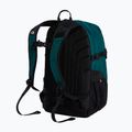 Plecak miejski The North Face Borealis Classic 29 l pacific teal/restorative 3