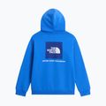 Bluza dziecięca The North Face Evolution Box NSE Pullover Hoodies active blue 2