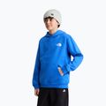 Bluza dziecięca The North Face Evolution Box NSE Pullover Hoodies active blue 5