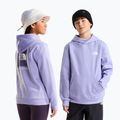 Bluza dziecięca The North Face Evolution Box NSE Pullover Hoodies pale plum
