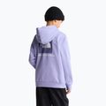 Bluza dziecięca The North Face Evolution Box NSE Pullover Hoodies pale plum 5