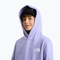 Bluza dziecięca The North Face Evolution Box NSE Pullover Hoodies pale plum 6