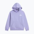 Bluza dziecięca The North Face Evolution Box NSE Pullover Hoodies pale plum 7