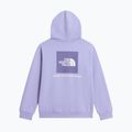 Bluza dziecięca The North Face Evolution Box NSE Pullover Hoodies pale plum 8